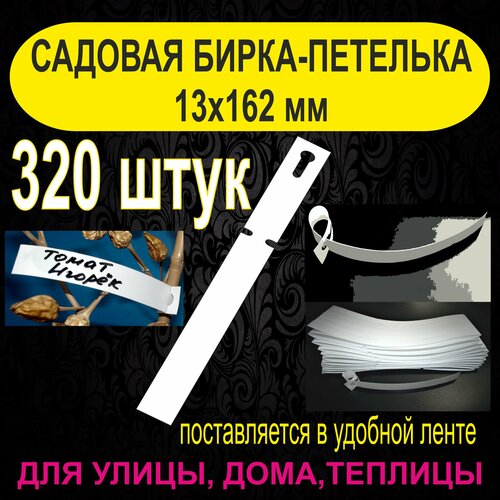 ���� ������� �����-�������� 13x162 ��. 320 ���� ������ ������