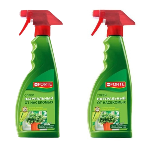 ���� ����� ����������� �� �������� ��������� �� ����������� ���������� Bona Forte 500 �� 2 �� ������ ������