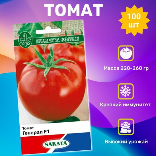 ���� ������ ������ ������� F1 100��. ���������� �������� ������ ������