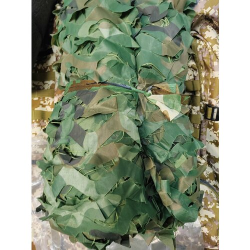 ���� ���� ��������� �������������, 2�3 �����, ������� ������ ������