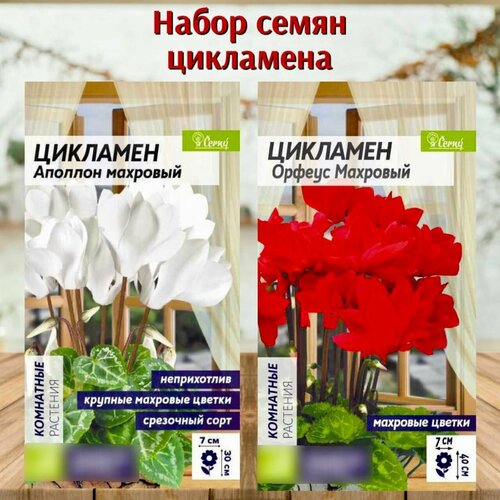 ���� ������ ������ �������� �������� ����� 2 ��. ������ ������