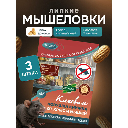 ���� ������� ��� ����� � ���� Maguse, ������� ������� ������ �� ���� � ����� BASE, 3 �� ������ ������