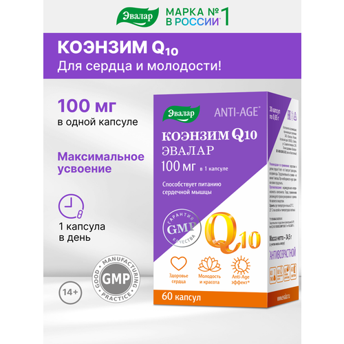 ���� ������� Q10 ����., 100 ��, 0.1 �, 60 ��., 1 ��. ������ ������