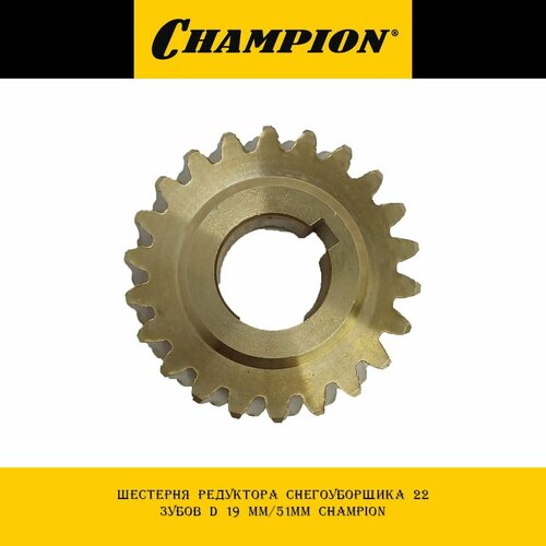     22  d 19 /51 Champion   -     , -, 