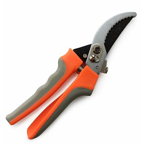 ���� ������������� ������� ��� ���� � ����. �������� �� ���������� �����. ������� ������� ��� ������� ����� � ����������� 230 �� ������ ������