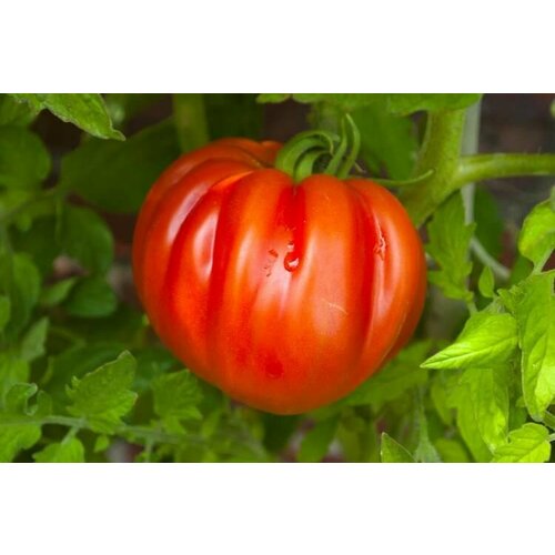 ���� ������������� ������ ������ ������� ������ ������ ������