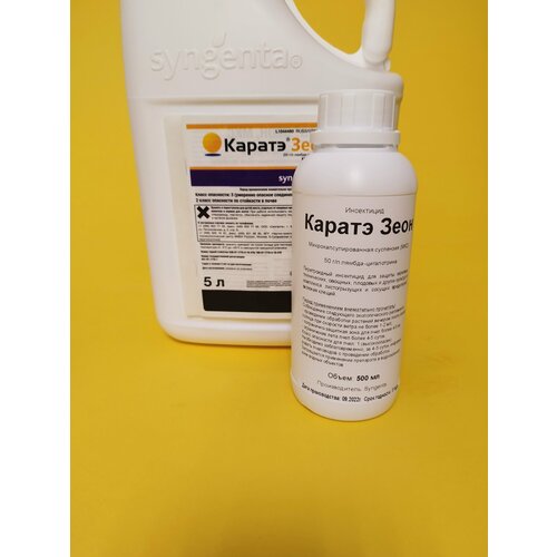 ���� ���������� ������ ���� �� ���������-���������� 500 �� ������ ������