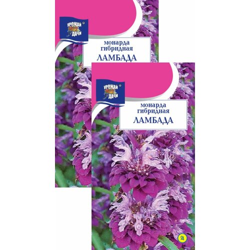 ���� ������� ��������� ������� (0,03 �), 2 ������ ������ ������