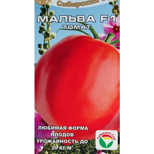 ���� ������ ������ ������ 15 ����� � �������� ������ ������