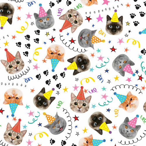 ���� ����������� ������ (0,7*1 �) ������, 10 ��. ������ ������