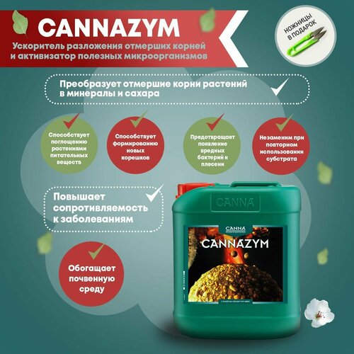 ���� ���������� Canna Cannazym, 5 � ������ ������