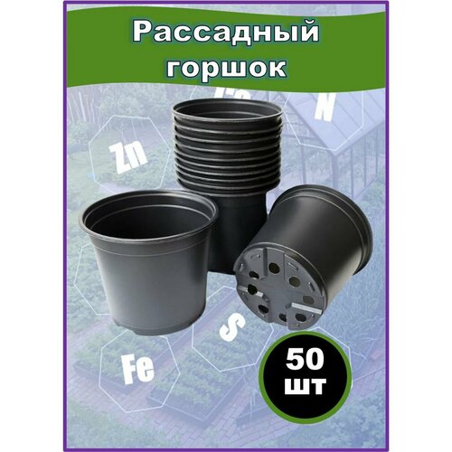 ���� ������ ��������� �������, ����������� 1�, 50�� ������ ������