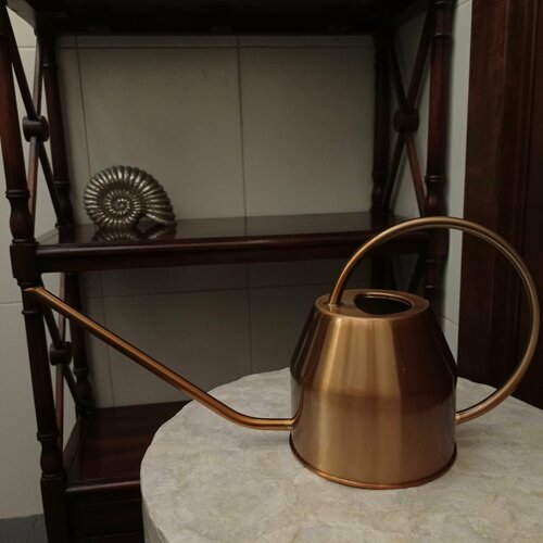 ���� ����� (1,2 �) ���� ���� / ������ ������������� � ������� ������� ��� ��������� �������� �������� � ������, ����� ��������� ������� �������� ������ ������