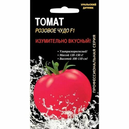 ���� ������ ����� ������� ���� F1 (�����������), �����������, ���� 12�� ������ ������