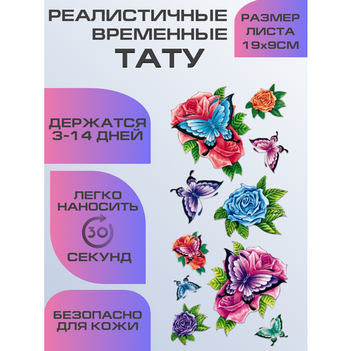 ���� ���� ���������� ��������������, ��������� ������� ������ ������