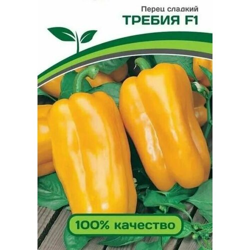 ���� ������������� ������ ����� �������� ������ F1 ������ ������