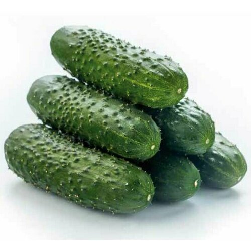 ���� ������������� ������ ������ ��������� F1 ������ ������