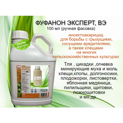 ���� ������� ������� 100 �� (�������) ������ ������