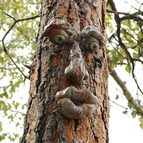 ���� ������� ������ ��� ������ � ������ ������