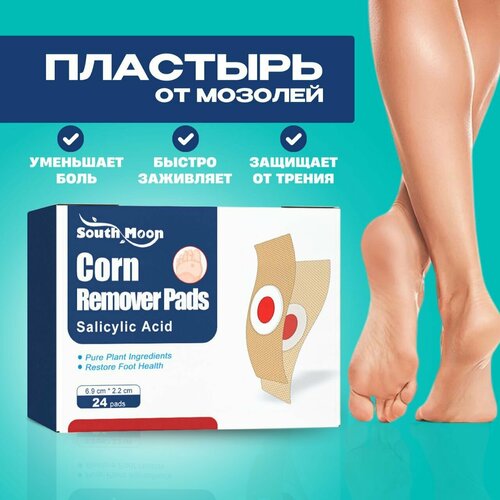 ���� �������� �� ����������, ����� �������, ���������, 24 �� ������ ������