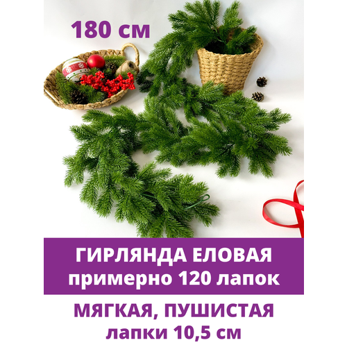 ���� ������ �������� (�������� 120 �����), ���������, ���������� ���������, ����� 180 ��. ������ ������