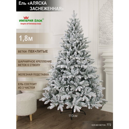 ���� ���� ������������� ���������� �����+��� ����������� 180�� ������ ������