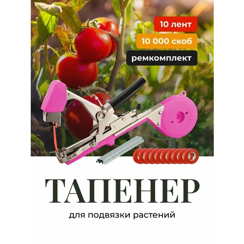 ���� ������� ������� ��� �������� �������� ������������� Birdhouse, ����� ������ ������