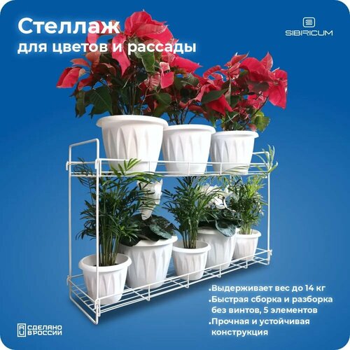 ���� ������� ��� �������, ��������� ��� ������, �� ����������, �������������, 2 �����, ����� ������ ������