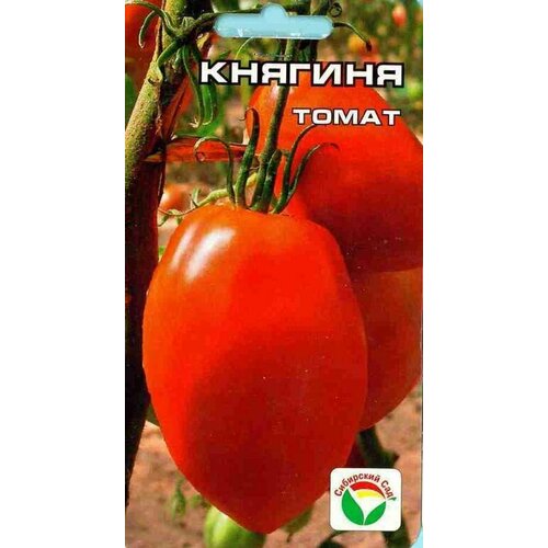 ���� ������ ����� ������� 20 ��. ������ ������