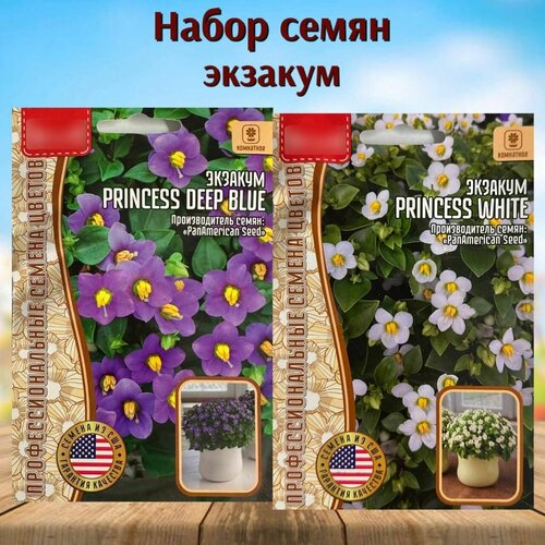 ���� ������ ��������� ������ ������� Princess ����� 2 ��. ������ ������