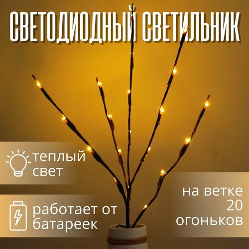 ���� ����������� ������������ ������� 20 �������� ������ ������