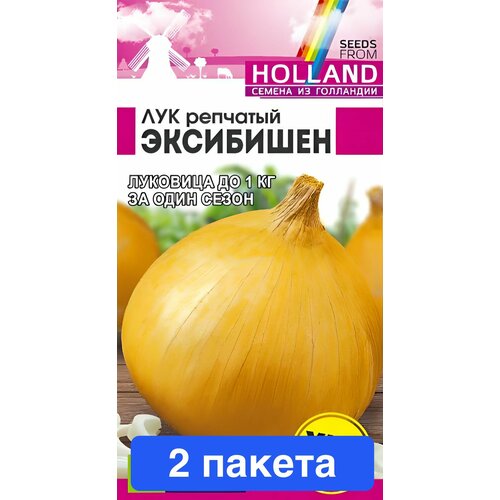 ���� ������ ������ ������ ����� 