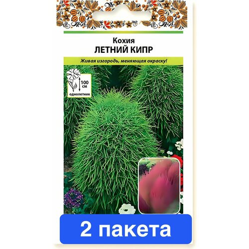 ���� ����� ����� ������ ���� 2 ������ ������ ������