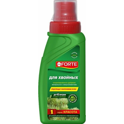 ���� ��na Forte �������� ������ ����������� ��������� ��� ������� �������� 285��/20 ������ ������