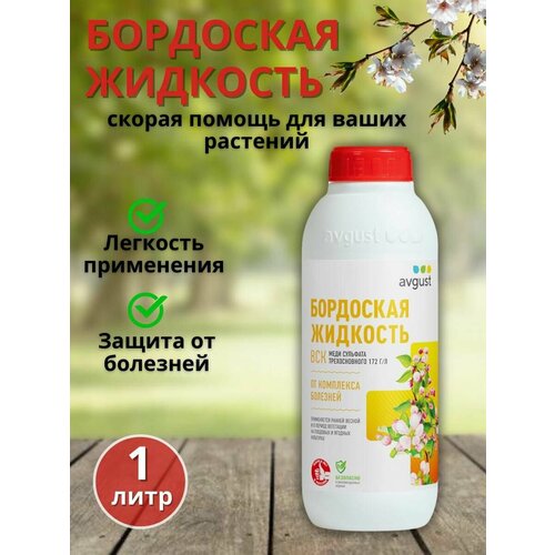 ���� ��������� �������� ��� ��������� �������� � ������� ������� �� ��������, 1000 �� ������ ������