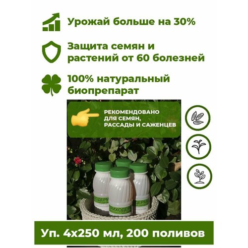 ���� ���������� ���������� - ����������� ������ 4 ���. �250�� ����������� ��������� ��� �������� ������ ����. ����� �������� �� ����� 60 ��������, �������� ����������� �� 30%. ������ ������