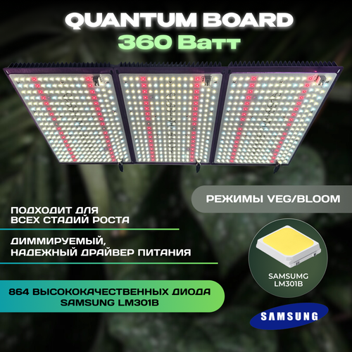   Quantum Board 360 ,  Samsung LM301B      -     , -, 