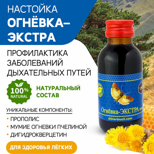 ���� �������� ������� ������ - ��� �������, �� �����, �� ��������, ���������� ����������� 100 ��. ������ ������