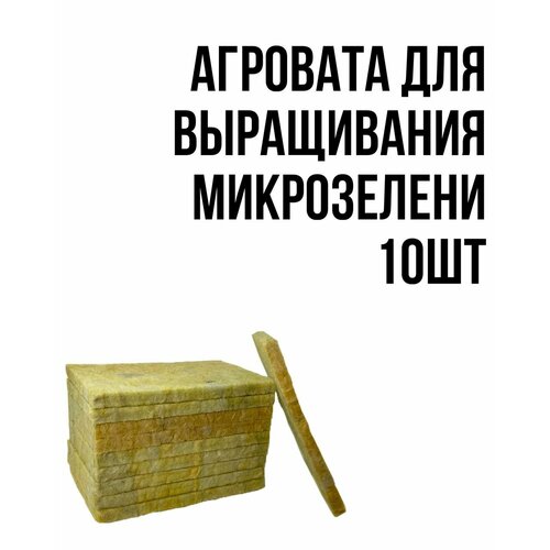 ���� �������� ��� ����������� ����������� 10�� ������ ������