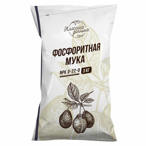 ���� ��������� ����������� ����������� ���� �������� ������� 3 �� ������ ������