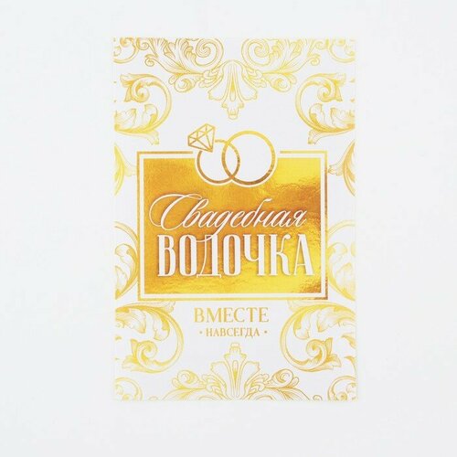 ���� �������� �� ������� �� ������� ��������� �������, �������, 8 � 12 �� 20 �� ������ ������