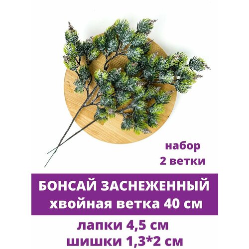 ���� ������ ����� ������ �����������, � �������, 40 ��, ����� 2 �� ������ ������