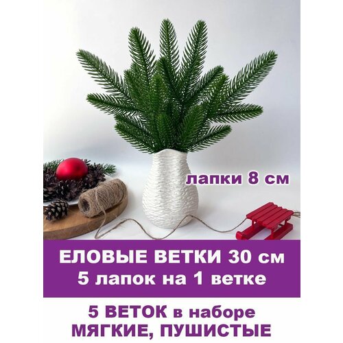 ���� ������ ����� �������������, ����� ������, ��������������, 5 ����� �� ����� 30 ��, ����� 5 �����. �������. ������ ������