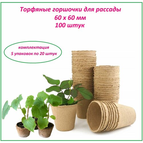 ���� �������� �������� ��� �������, ����� ����������� 100 ����, d 60 � h 60 ��, ��� ����������� ������� ���� ����� ������� � ��������� �������� ������ ������