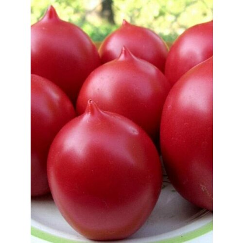 ���� ������������� ������ ������ �� ����� ������� ������ ������