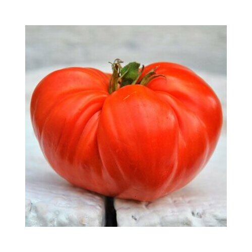 ���� ������������� ������ ����� ��������� ������ ������