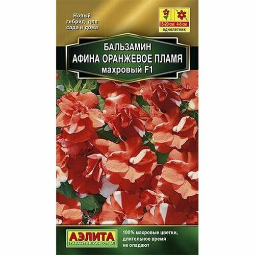 ���� ������ ��������� ����� F1 ��������� ����� ��������, ����������, (������) 5�� ������ ������