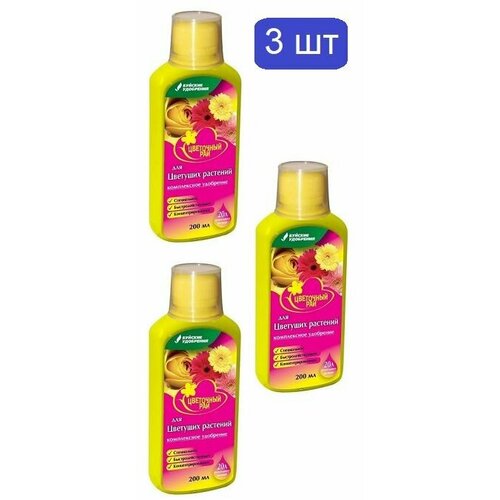 ���� ��������� 