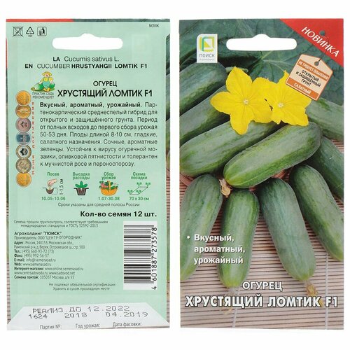 ���� ������ ������ ��������� ������ F1 12�� ������������������ (�����) ������ ������