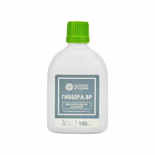 ���� ��������� ����� �������� ������� 100 �� ������ ������